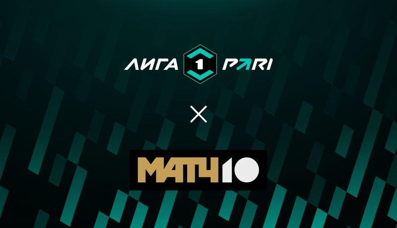 Чайка — Родина